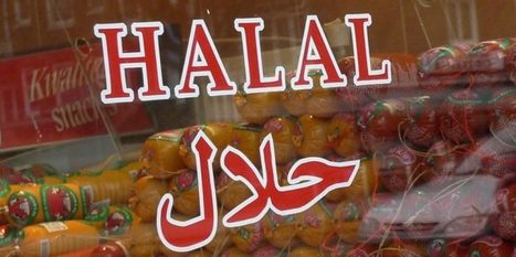 Agroalimentaire HALAL, Certification HALAL, La norme HALAL, mettre en place des produits